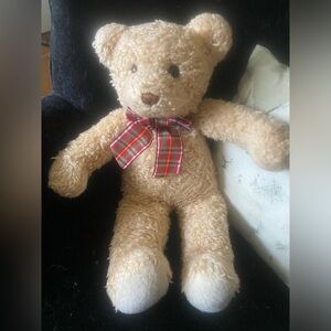 Gund brand Teddy Bear
